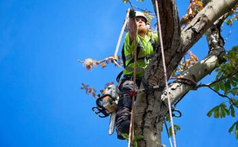 arborists