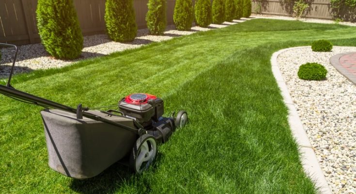 Tips To Take Care Of Your Home Garden lawn