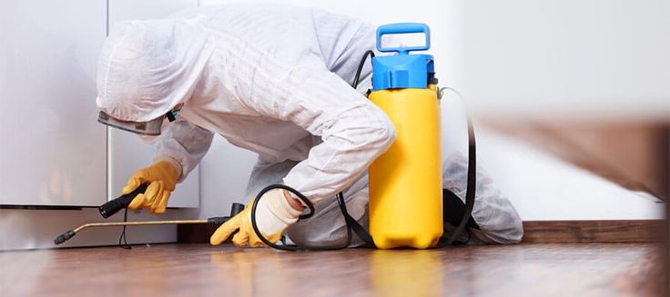 Pest Control Services Edmonton